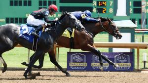 Brightwork, V V’s Dream, Debutante, Coady Photography, Darley Alcibiades Stakes